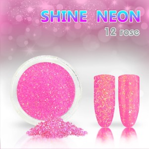 Shine neon 12